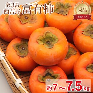 【予約受付】11/10~順次出荷【約7~7.5kg】《秀品》大きさお任せ 富有柿