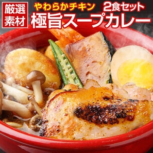 【2食（260g×2袋）】北海道極旨 やわらかチキンスープカレー【B】