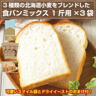 【1斤用×3袋】北海道小麦の食パンミックス【C2】