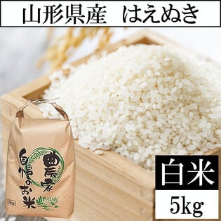 【5kg】令和7年産 山形県産 はえぬき (精米)