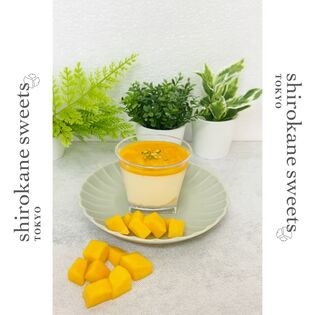 【115g×6個】shirokane sweets TOKYO  白金クリームケーキ（マンゴー）