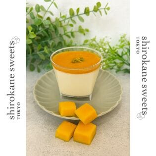 【115g×6個】shirokane sweets TOKYO  白金レアチーズケーキ（マンゴー）