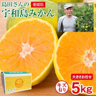 【予約受付】11/1~順次出荷【5kg】愛媛県産 宇和島みかん (ご家庭用、傷あり)