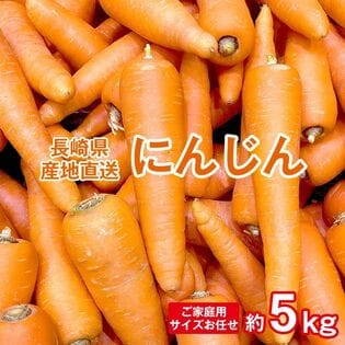 【予約受付】11/10~順次出荷【約5kg】長崎にんじん （ご家庭用）