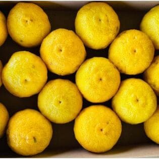 【予約受付】11/15~順次出荷【3kg】熊本県産 大分県産 ゆず （ご家庭用）
