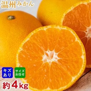 【予約受付】11/1~順次出荷【約4kg】厳選 温州みかん(ご家庭用・傷あり)