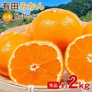 【予約受付】11/5~順次出荷【約2kg/S~Lサイズ】《秀品》和歌山県産 有田みかん