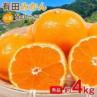 【予約受付】11/5~順次出荷【約4kg/S~Lサイズ】《秀品》和歌山県産 有田みかん