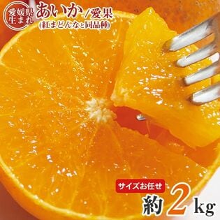 【予約受付】11/25~順次出荷【約2kg(サイズお任せ)】あいか・紅まどんな同等品種 (ご家庭用)