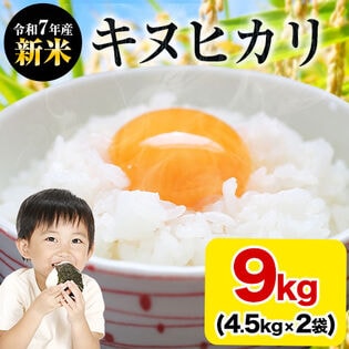 【計9kg(4.5kg×2)】熊本県産 キヌヒカリ 白米