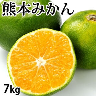 【予約受付】10/9~順次出荷【7kg】熊本みかん  極早生(ご家庭用・傷あり)