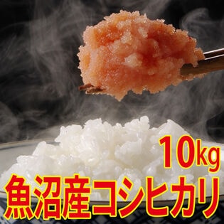 【10kg (5kg×2袋)】令和7年産 新米 魚沼十日町産コシヒカリ