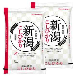【計10kg/5kg×2袋】新米 [精米] 令和7年産 新潟県産コシヒカリ 白米