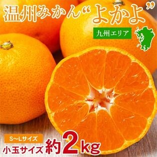 【約2kg/S~Lサイズ】九州みかんよかよ♪  九州産温州みかん厳選 小玉
