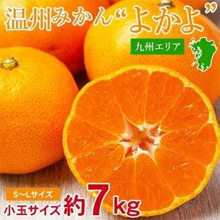 【約7kg/S~Lサイズ】九州みかんよかよ♪  九州産温州みかん厳選 小玉