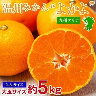 【予約受付】11/5~順次出荷【約5kg】九州みかんよかよ♪ 九州産温州みかん厳選 大玉