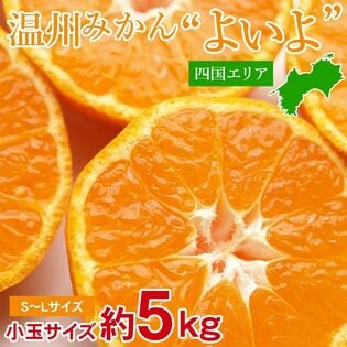 【約5kg/S~Lサイズ】四国みかんよいよ♪ 四国産温州みかん厳選 小玉
