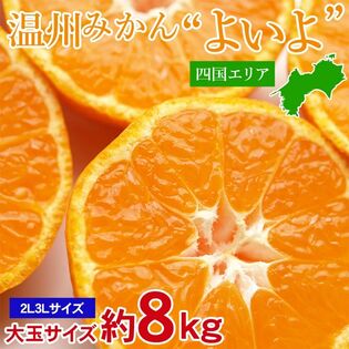 【予約受付】11/5~順次出荷【約8kg】四国みかんよいよ♪ 四国産温州みかん厳選 大玉