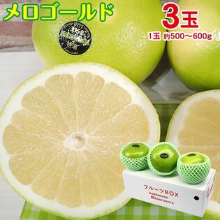 【予約受付】11/10~順次出荷【3玉】メロゴールド