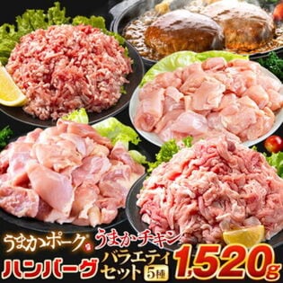 【5種/計1520g】 お肉5種 大容量バラエティセット
