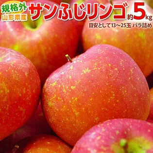 【予約受付】11/1~順次出荷【約5kg(目安として13〜25玉)】規格外 サンふじりんご
