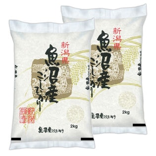 【計4kg/2kg×2袋】新米【精米】令和7年産 新潟県魚沼産コシヒカリ 白米