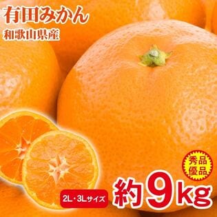 【予約受付】11/15~順次出荷【約9kg/2L・3L】産地直送「秀品・優品」和歌山県産有田みかん