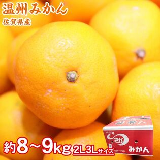 【約8~9kg/2L・3Lサイズ】佐賀県産 温州みかん《優・秀品》
