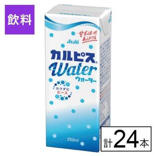 エルビー カルピスウォーター(R) 紙パック 250ml×24本