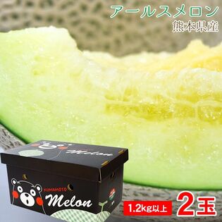 【約1.2kg/2玉】熊本県産 アールスメロン