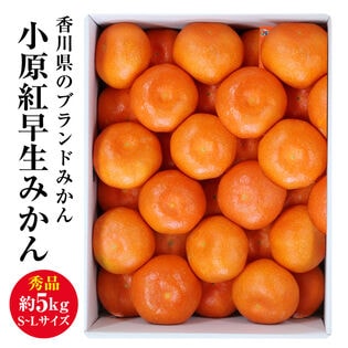 【予約受付】12/5~順次出荷【秀品 約5.0kg(S-L)】香川県産 小原紅早生みかん
