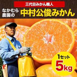 【5kg】中村みかん