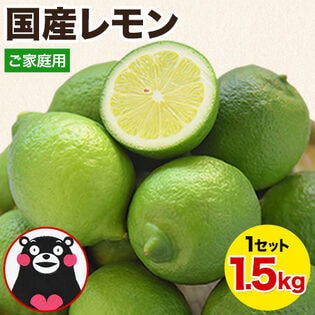 【1.5kg】国産レモン※ご家庭用