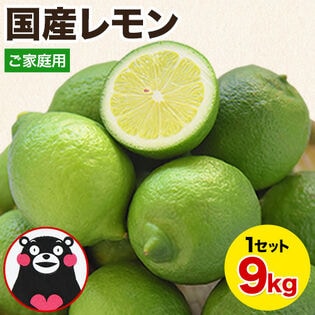 【9kg】国産レモン※ご家庭用