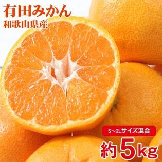 【約5kg/サイズ混合S~2Lサイズ】産地直送 有田みかん  ご家庭用