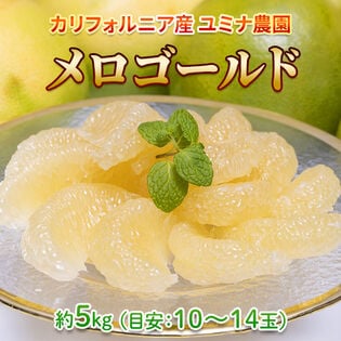 【約5kg(目安:10〜14玉)】『メロゴールド』カリフォルニア産 ユミナ農園