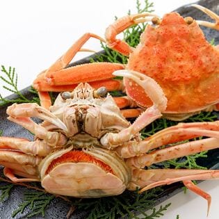 【1kg】兵庫県香住産セコガニ(ご家庭用)