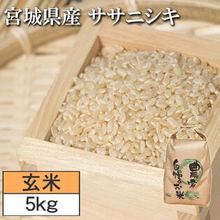 【5kg】令和7年度 宮城県産ササニシキ（玄米）