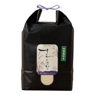 【新米】山形県産　さわのはな　令和7年産【5kg】