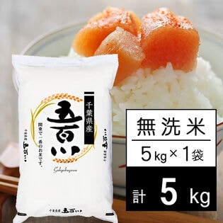 【5kg】新米 令和7年産 千葉県産 五百川 無洗米