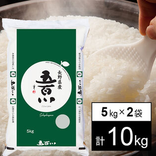 【計10kg/5kgx2袋】新米 令和7年産 長野県伊那産 五百川 白米