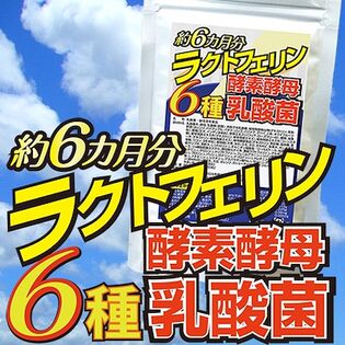 【日替わり数量限定】【約6か月分】ラクトフェリン酵素酵母6種乳酸菌【先行チケット利用NG】
