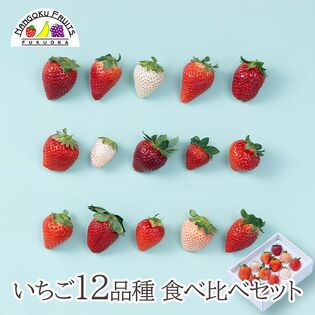 【予約受付】1月中旬~順次出荷　いちご12種食べ比べ