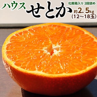 【予約受付】1/6~順次出荷【約2.5kg/12〜18玉】佐賀県産JAからつ せとか