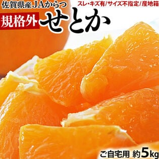 【予約受付】1/19~順次出荷【約5kg】佐賀県産 JAからつ せとか  ハウス栽培 規格外品
