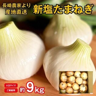 【予約受付】3/25~順次出荷【約9kg/大玉サイズ】長崎県産新塩玉ねぎ (ご家庭用、傷あり)