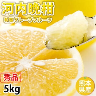 【予約受付】3/23~順次配送【約5kg】熊本県産 秀品 河内晩柑