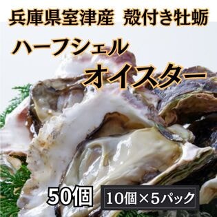 【賞味期限間近】【計50個/10個×5パック】兵庫県室津産 殻付き牡蛎(ハーフシェルオイスター)