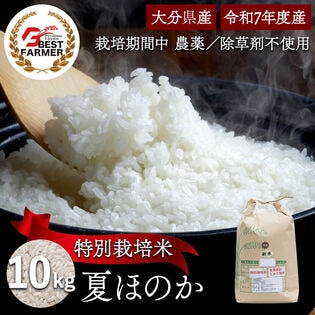 【精米10kg】特別栽培米 大分県産 宗像農園 夏ほのか 栽培期間農薬不使用 令和7年産