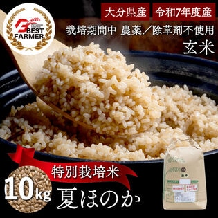 【玄米10kg】特別栽培米 大分県産 宗像農園 夏ほのか 栽培期間農薬不使用 令和7年産